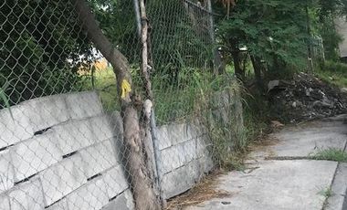 TERRENO EN RENTA NUEVO REPUEBLO