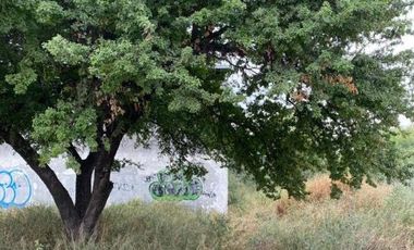 TERRENO EN  RENTA, ESCOBEDO CENTRO