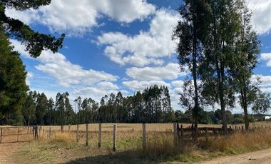 Agrícola en Venta en Línea Errázuriz