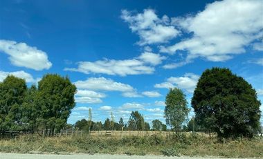 Agrícola en Venta en Línea Errázuriz