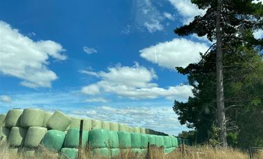 Agrícola en Venta en Línea Errázuriz