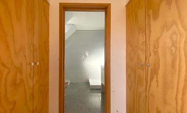 MAITENCILLO