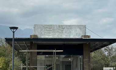 LOCALES EN RENTA PLAZA TULEA