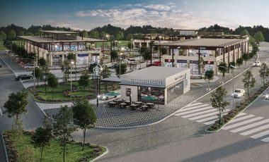 LOCALES EN RENTA PLAZA TULEA