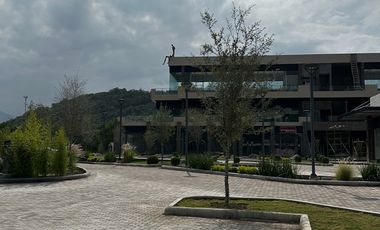 LOCALES EN RENTA PLAZA TULEA