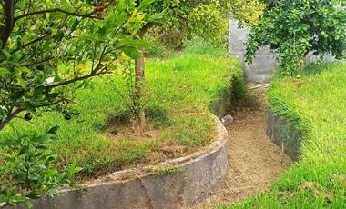 Quinta Campestre en Venta, en colonia Valle de Mimbre, Ramos Arizpe, Coahuila