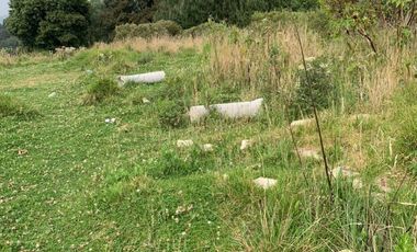 TERRENO EN VENTA, TEZIUTLAN PUEBLA