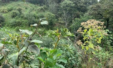 TERRENO EN VENTA, TEZIUTLAN PUEBLA