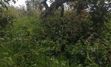 TERRENO EN VENTA, TEZIUTLAN PUEBLA