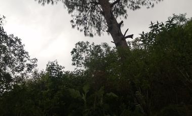 TERRENO EN VENTA, TEZIUTLAN PUEBLA