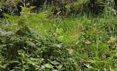 TERRENO EN VENTA, TEZIUTLAN PUEBLA