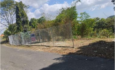 VENTA DE TERRENO EN ALCALDE DIAZ 3,830 METROS