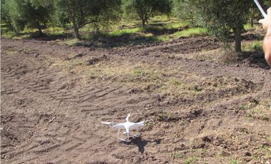 VENTA FINCA OLIVICOLA 6 HAS
