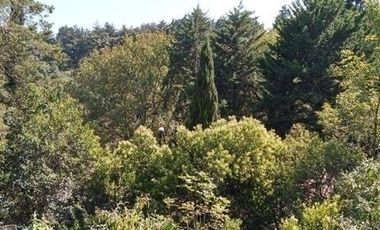 Santa Fe  Lofts amueblados ideales  para ejecutivos y estudiantes