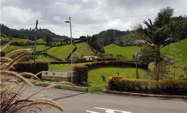 VENTA LOTE 2500 mts2 LA CEJA VA LA CEJA DON DIEGO - D