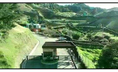 VENTA LOTE 2500 mts2 LA CEJA VA LA CEJA DON DIEGO - D