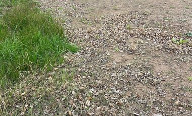 Lote venta Parque las Naciones Guernica