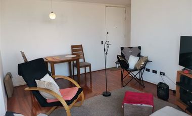 Departamento en Venta en Av. Presidente Balmaceda - Parque De Los Reyes