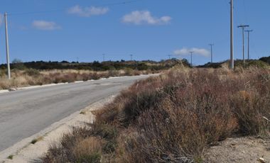 Terreno en Venta en Luis Echeverría Álvarez (El Hongo)