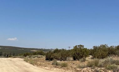 Terreno en Venta en Luis Echeverría Álvarez (El Hongo)
