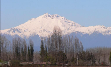 Industrial en Venta en Ruta 5 Sur - Copihue