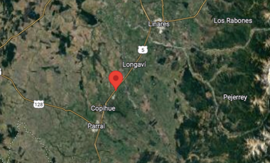 Industrial en Venta en Ruta 5 Sur - Copihue