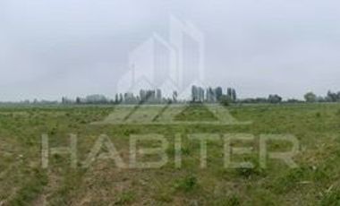 Industrial en Venta en Ruta 5 Sur - Copihue