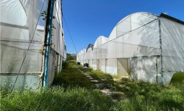 Rancho en venta en Yautepec Morelos ideal para remodelar