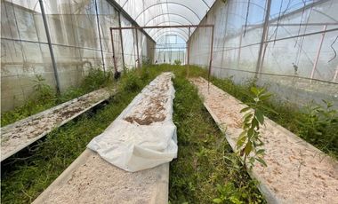 Rancho en venta en Yautepec Morelos ideal para remodelar