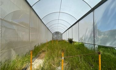 Rancho en venta en Yautepec Morelos ideal para remodelar