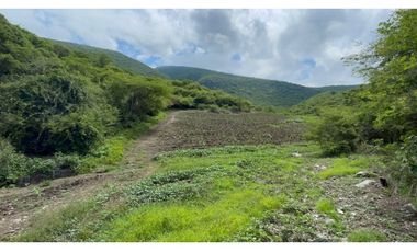 Terreno en venta en Morelos Tlalquitenango