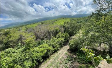 Terreno en venta en Morelos Tlalquitenango