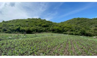 Terreno en venta en Morelos Tlalquitenango