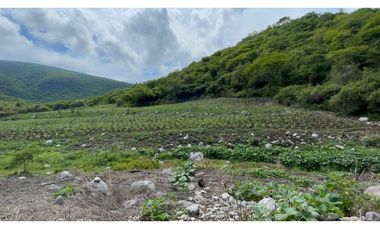 Terreno en venta en Morelos Tlalquitenango