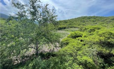 Terreno en venta en Morelos Tlalquitenango