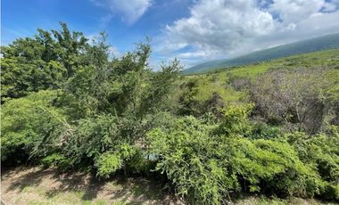 Terreno en venta en Morelos Tlalquitenango
