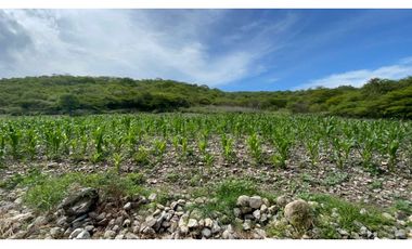Terreno en venta en Morelos Tlalquitenango