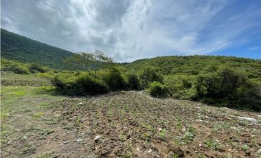 Terreno en venta en Morelos Tlalquitenango