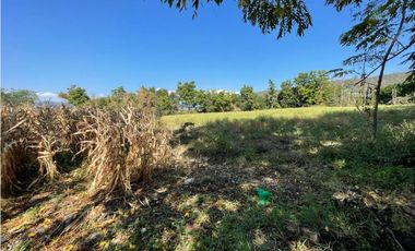 Hípico en venta en Yautepec a precio de terreno