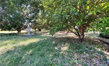 Hípico en venta en Yautepec a precio de terreno