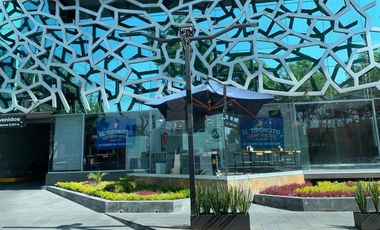Locales comerciales en renta en Green Plaza