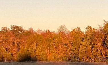 Hermosa parcela sector Choroico