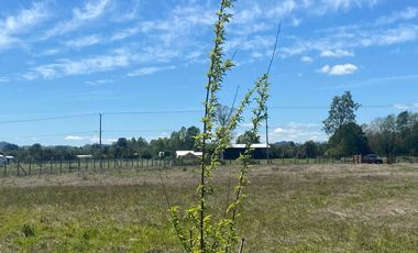 Hermosa parcela sector Choroico