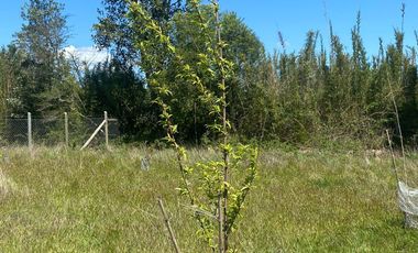 Hermosa parcela sector Choroico