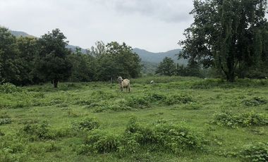 Land for sale in On Klang, Chiang Mai