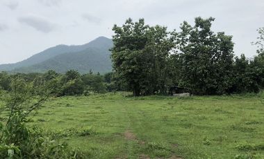 Land for sale in On Klang, Chiang Mai