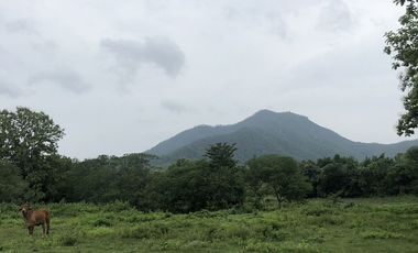 Land for sale in On Klang, Chiang Mai