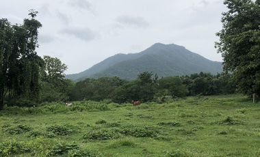 Land for sale in On Klang, Chiang Mai