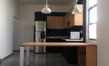 Departamento  de 1 Rec. Amueblado en Renta  Col. Justo Sierra