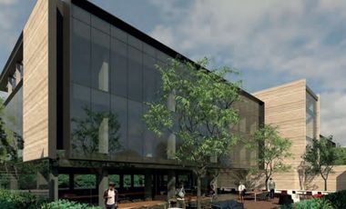 Edificios de Oficinas en Renta en Altavista